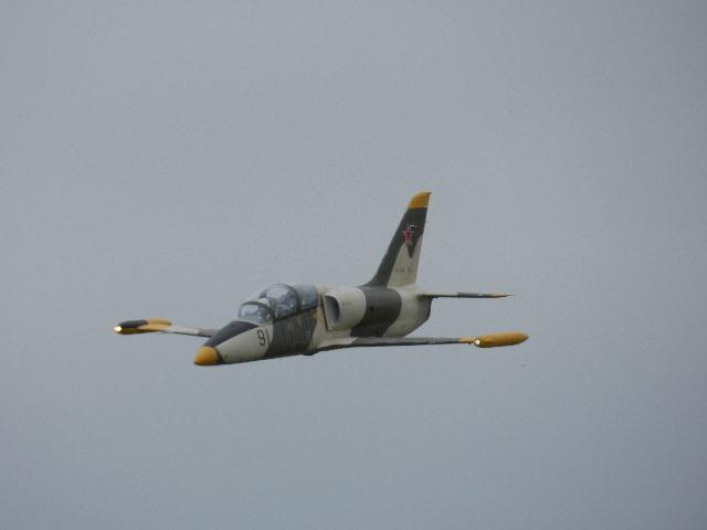 l39 2.jpg