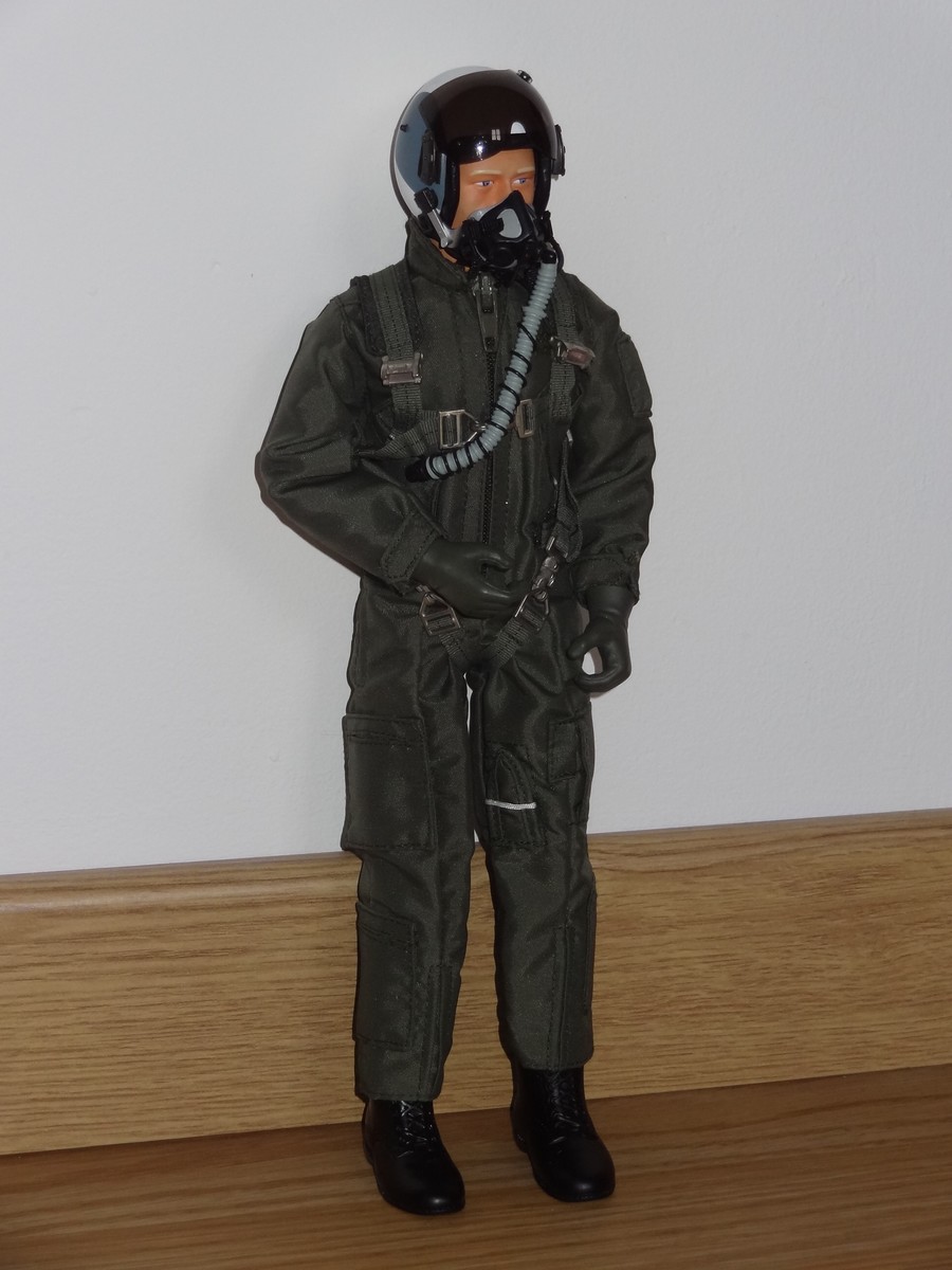 PILOTE JET 1_6 WARBIRDPILOTS.JPG