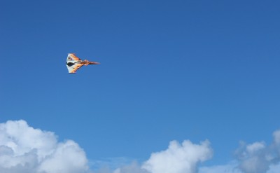 Startiger dans le bleu du ciel Mauricien.jpg